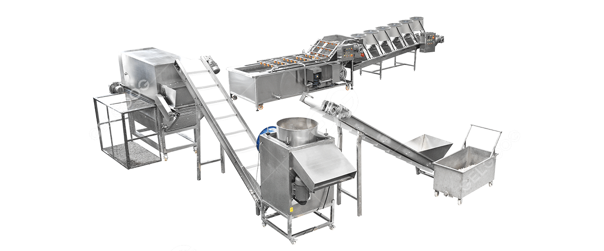 Fabricants et usine personnalisés de machine de traitement d'ail - machine  bon marché de traitement d'ail pour la vente - Yogemann