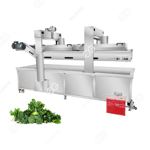 Machine À Blanchir Les Légumes.jpg