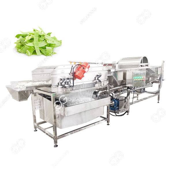 Machine À Laver Les Choux Pour Le Traitement Des Salades