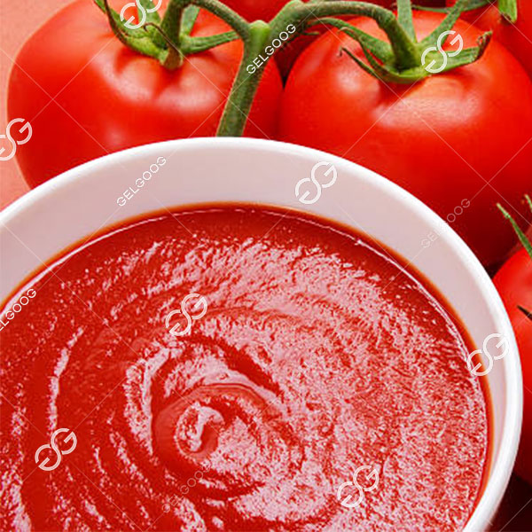 Coût De La Création D'une Usine De Transformation De Tomates